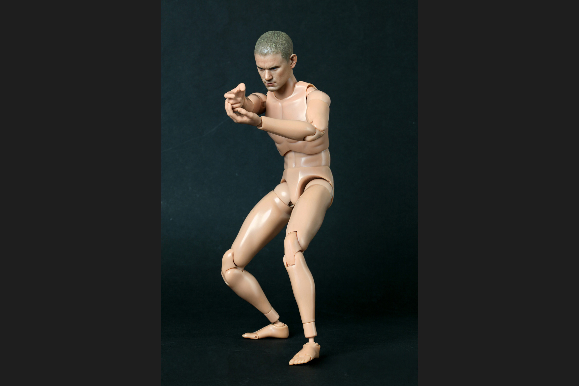 ホットトイズ・トゥルータイプ】1/6スケールフィギュア素体ニュー 