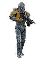 トイサピエンス