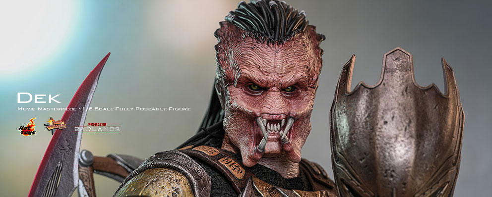 トイサピエンス