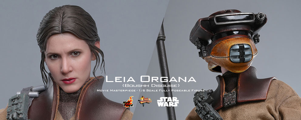 トイサピエンス