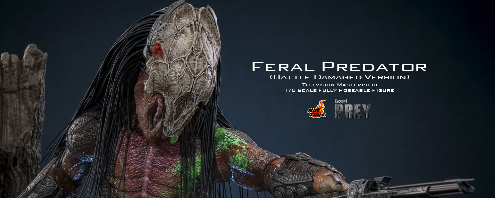 トイサピエンス