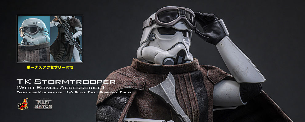 トイサピエンス