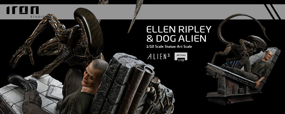 トイサピエンス