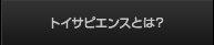 トイサピエンスとは？